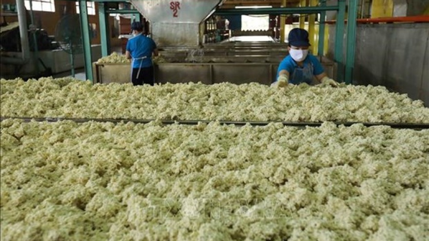 Rubber industry needs better grip on competitiveness in int’l market